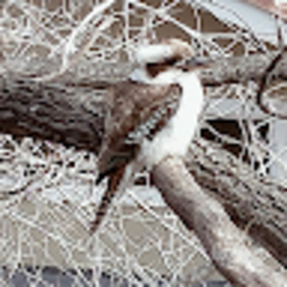 Meet your Posher, Rozenn